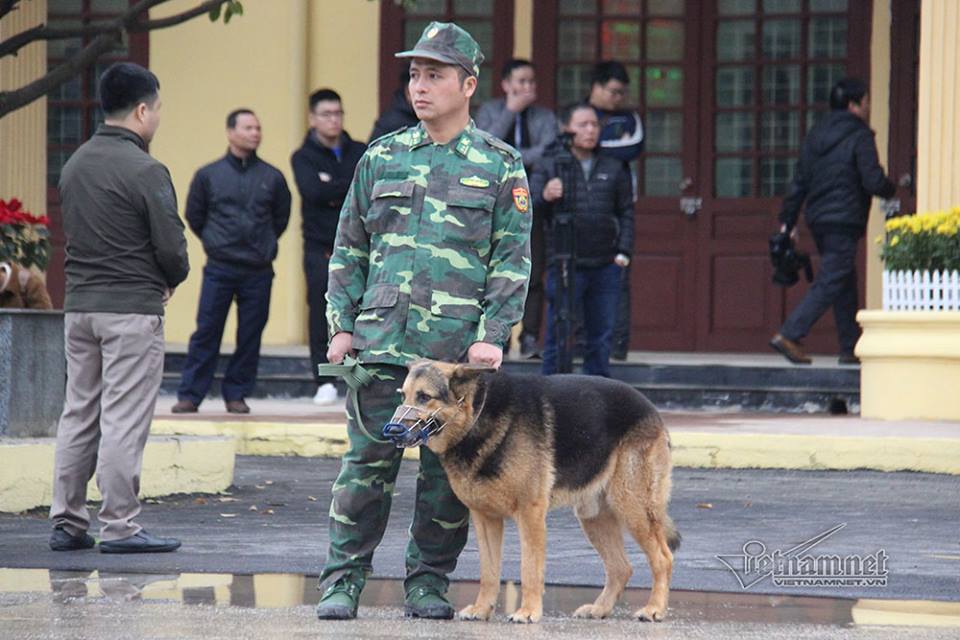 chó nghiệp vụ mỹ bị trộm,chó nghiệp vụ tiếng anh,chó nghiệp vụ việt nam,chó nghiệp vụ k9,chó nghiệp vụ mỹ,