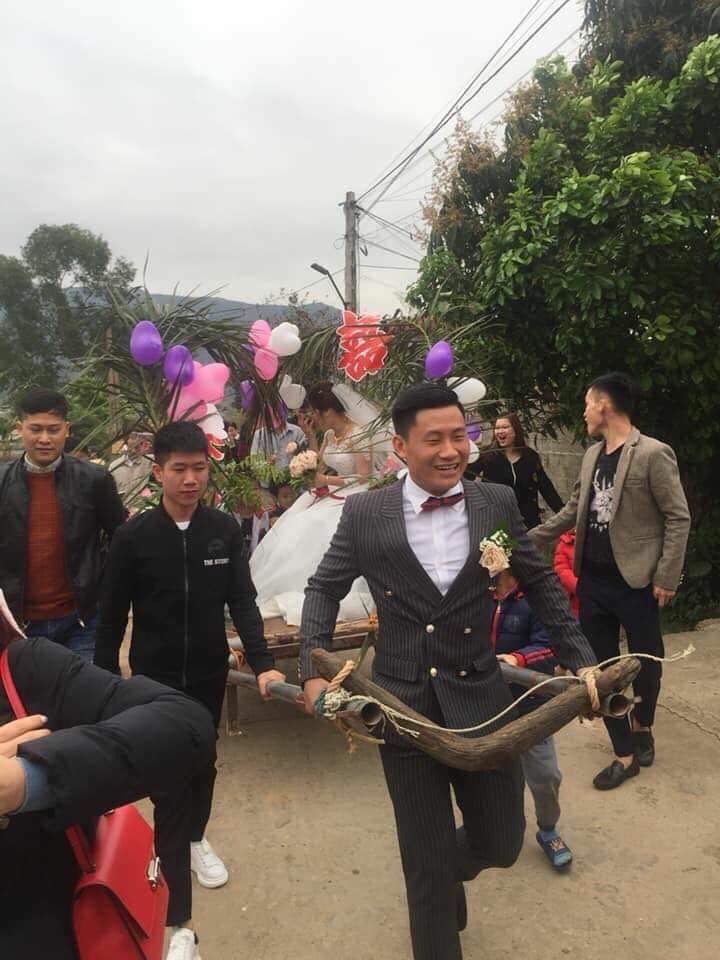 Xôn xao với màn rước dâu bằng xe trâu độc đáo ở Bắc Giang