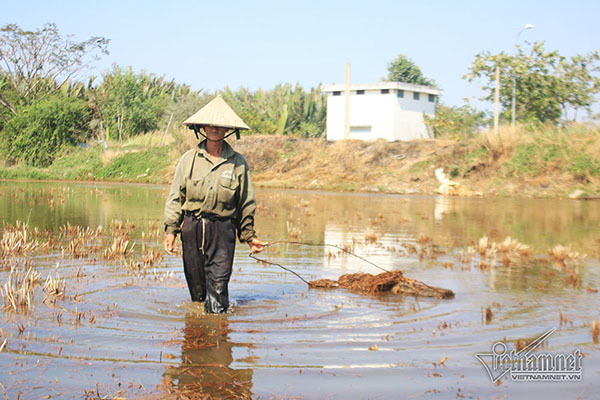 vietnamnet.vn