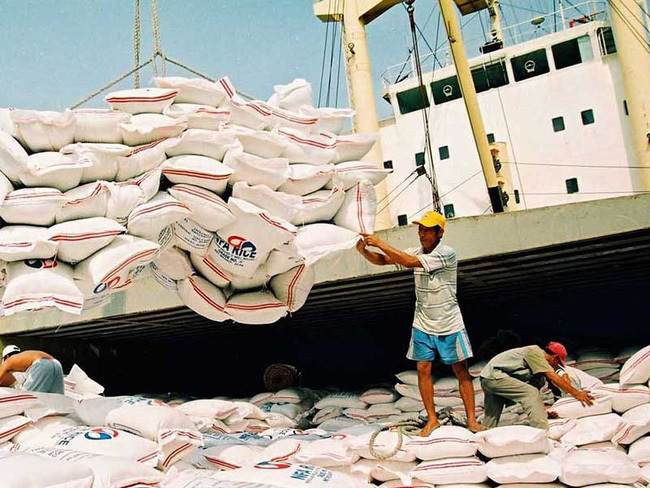 Việt Nam lần đầu tiên phải nhập gạo từ Ấn Độ