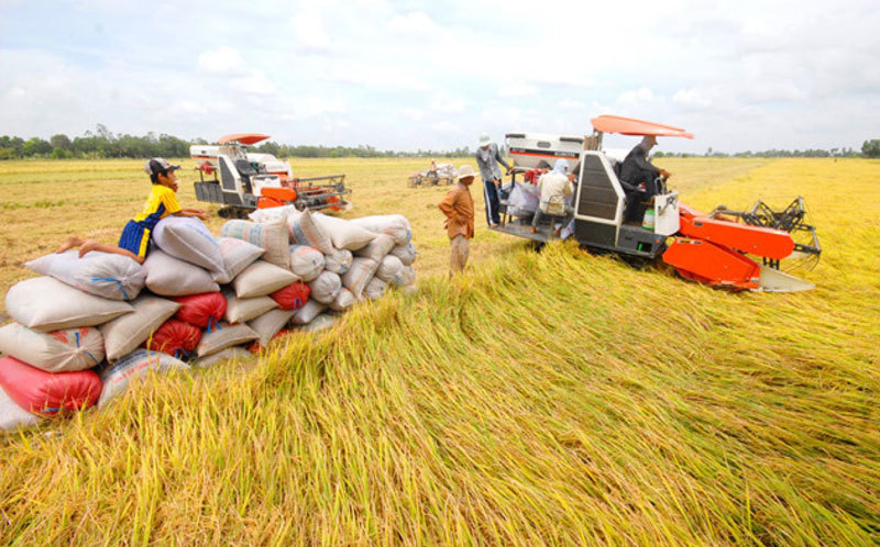 Tình huống hiếm gặp, thế mạnh Việt khó khăn chưa từng có