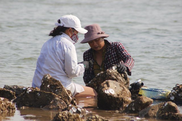 Săn 'thần dược' tăng cường bản lĩnh đàn ông bên dòng sông Gianh