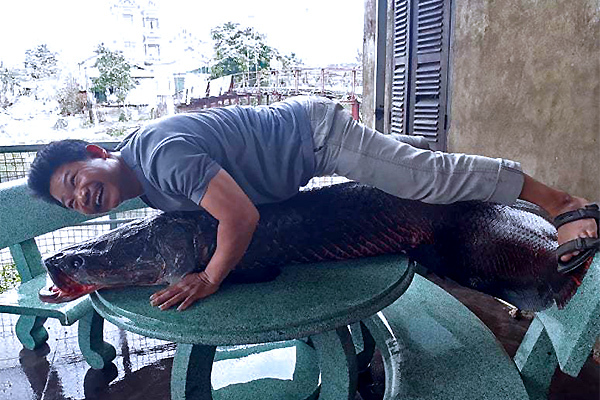 Sự thật bắt được thuỷ quái 110 kg trên sông Nhuệ: Loan tin xôn xao Hà Nội