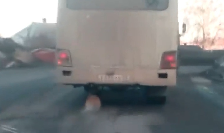 Ngạc nhiên xe buýt dùng thân cây gỗ làm 