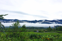 Nước mắt muộn màng của trai ngoan vướng tình 'bướm đêm'