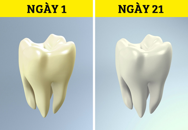 Cơ thể sẽ ra sao nếu bạn ngừng uống rượu bia trong 28 ngày?