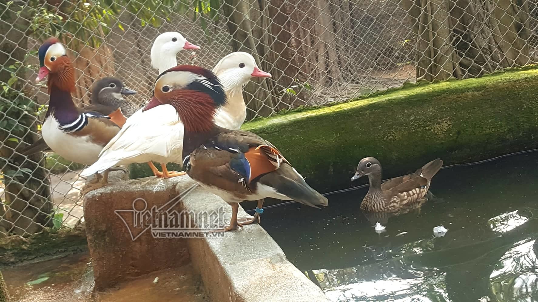 Thực hư món quà tặng vợ 1 lần, chồng suốt đời chung thủy