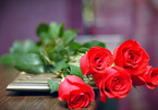 Lời chúc Valentine Trắng 14/3 tặng bạn trai cảm động và ngọt ngào