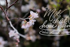 Vợ ôm con, bất lực nhìn chồng đưa nhân tình vào khách sạn