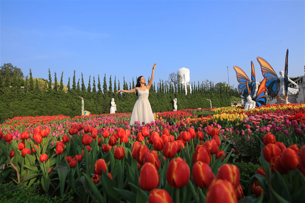 Phiêu lưu trong xứ sở hoa tulip trên đỉnh Bà Nà