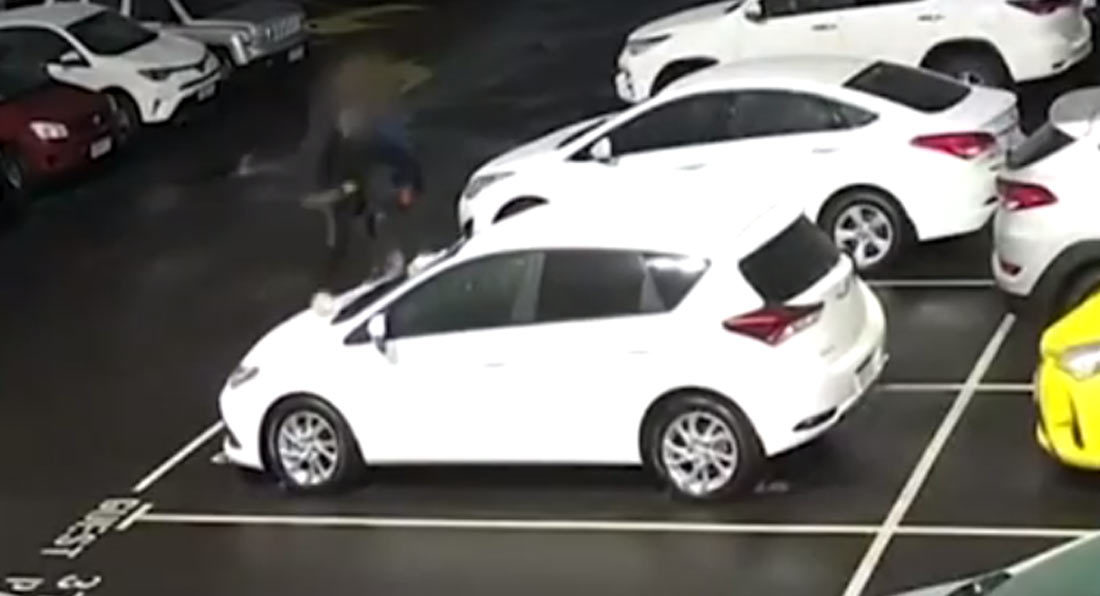 Hai cậu bé bị truy tố hình sự khi đập phá 23 chiếc xe Toyota