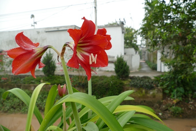 Đang thất nghiệp bỗng được cho tiền tỷ mở công ty và bí mật của vợ