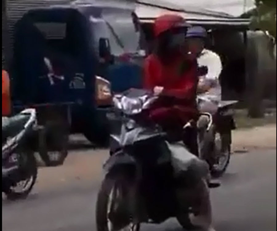 Bất chấp nguy hiểm, cô gái thản nhiên dừng xe máy giữa đường đông người qua lại