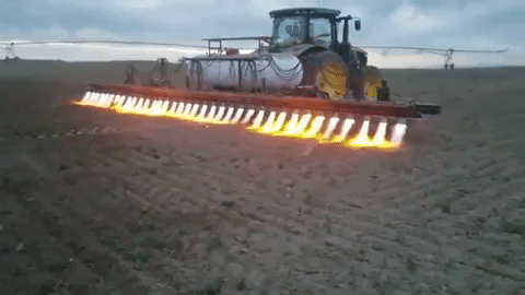 Máy phun lửa diệt cỏ từng bị lãng quên lại được 'hồi sinh'