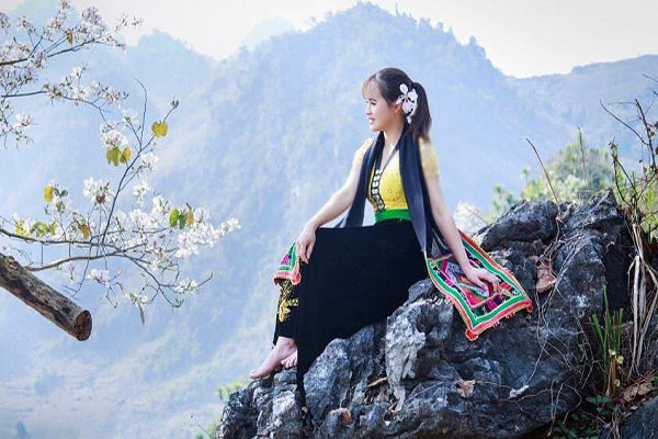 Hoa ban bừng nở, khoe sắc trắng tinh khôi trên các cung đường Tây Bắc