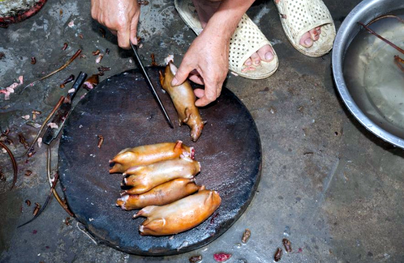 Thịt chuột Việt Nam ngon như phomai que: Tây liều thử rồi mê ngay