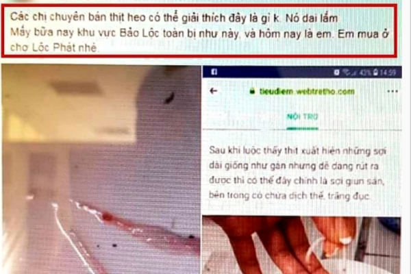 Tung tin dịch sán heo trên Facebook, một phụ nữ bị phạt 10 triệu đồng