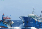 Phản đối tàu hải cảnh Trung Quốc phun vòi rồng đuổi tàu cá Việt Nam