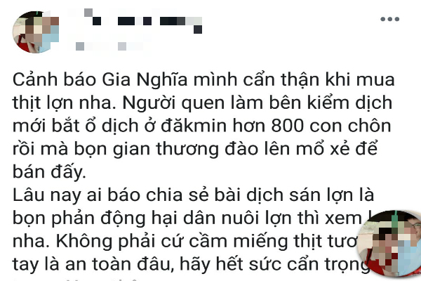 Thực hư cô gái tung tin 800 con lợn dịch bị đào xẻ thịt bán