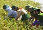 Vietnamese technology converts waste into electricity, organic carbon