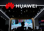 EU sẽ bỏ qua kêu gọi cấm Huawei của Mỹ?