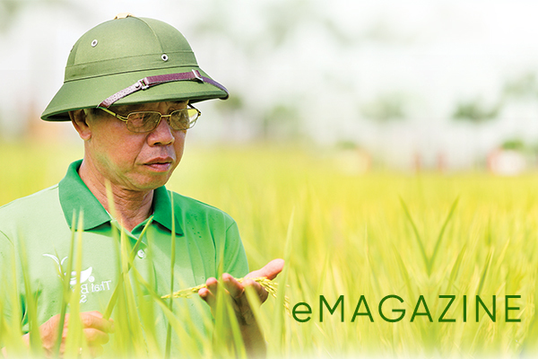 Biến 11 hạt gạo thành hàng chục ngàn tỷ: Giai thoại của ‘nông dân mới’ Trần Mạnh Báo