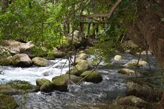 Sốc với lý do vợ đang yên đang lành lại đòi ly hôn