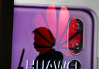 Lợi nhuận của Huawei ra sao khi bị Mỹ phong tỏa?