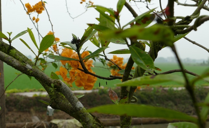 Bồ nói chỉ 'mượn tạm' chồng, tôi đáp trả khiến cả hai cứng họng