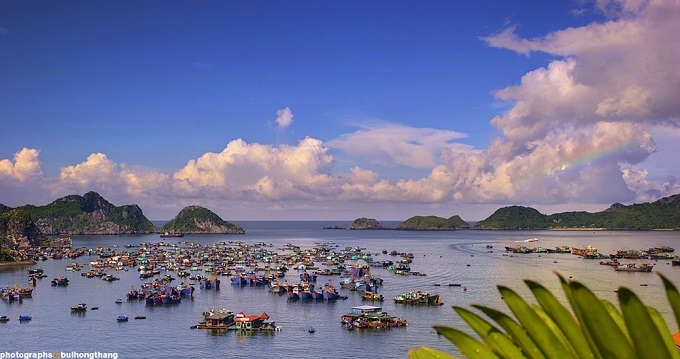 Có gì khi đi du lịch ở Cát Bà?