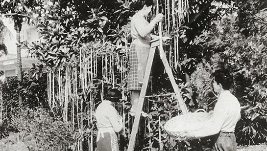 Cây mọc ra mỳ, tiền gắn bạch kim: Những trò đùa kinh điển trên thế giới