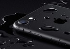 Apple muốn biến iPhone thành điện thoại chuyên chụp ảnh dưới nước