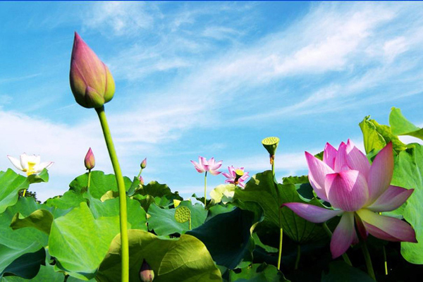 Ghé hồ Quan Sơn - ‘Hạ Long trên cạn’ của Hà Nội
