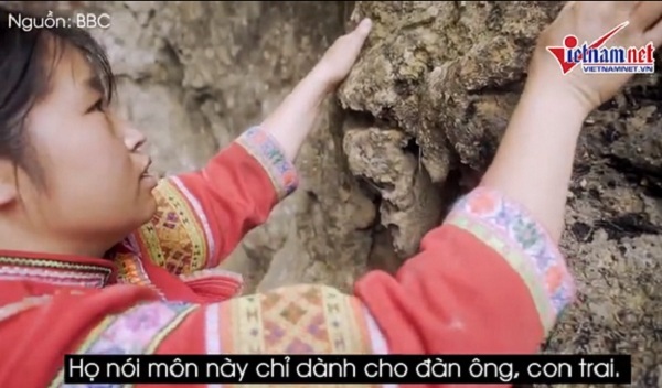 Cuộc sống mưu sinh của những ‘người nhện’