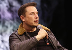 Elon Musk dùng auto-tune đọc rap tưởng nhớ khỉ đột