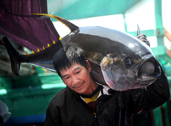 Practical reforms required for better agriculture: Gov't