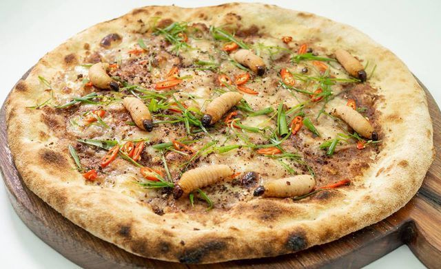  Món ăn kinh dị bậc nhất thế giới: Pizza đuông dừa bò lổm ngổm (+video) Pizza-duong-dua-1