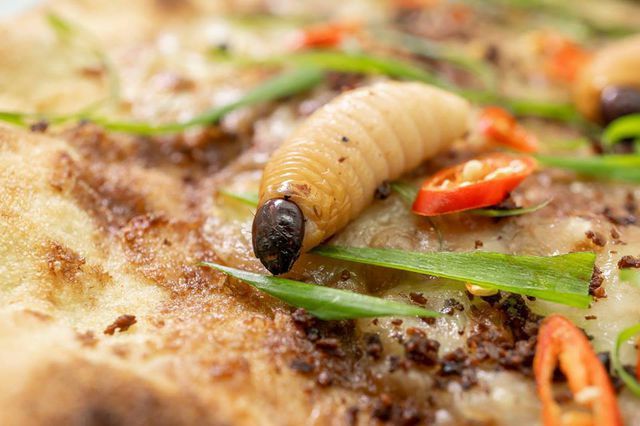  Món ăn kinh dị bậc nhất thế giới: Pizza đuông dừa bò lổm ngổm (+video) Pizza-duong-dua-2