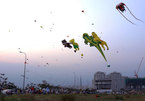 Through the lens: Go fly a kite!