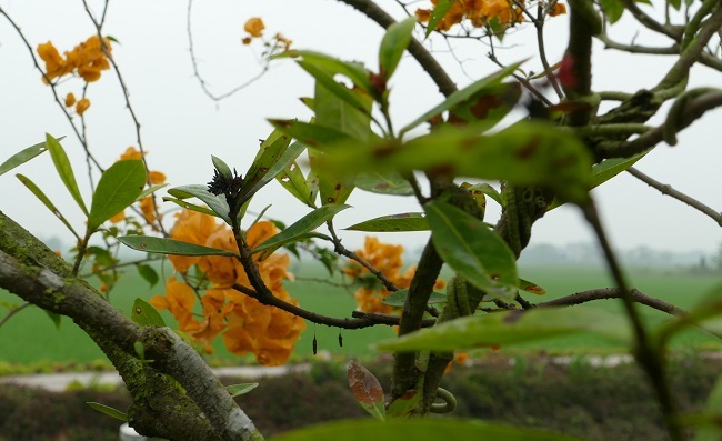 Nhân tình của chồng thông báo có thai, tôi trả thù một cách lạnh lùng