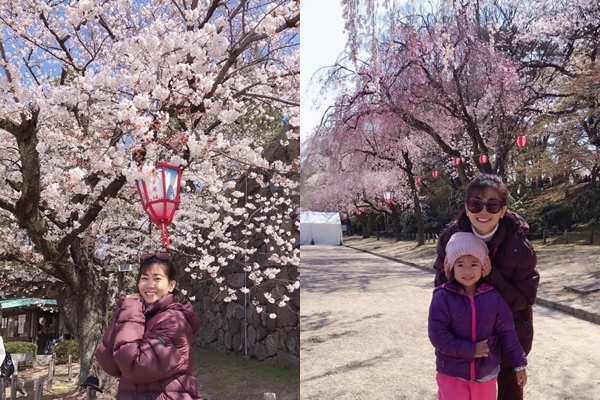 Mặc sức khỏe còn yếu, Mai Phương vẫn cùng con gái sang Nhật ngắm hoa anh đào
