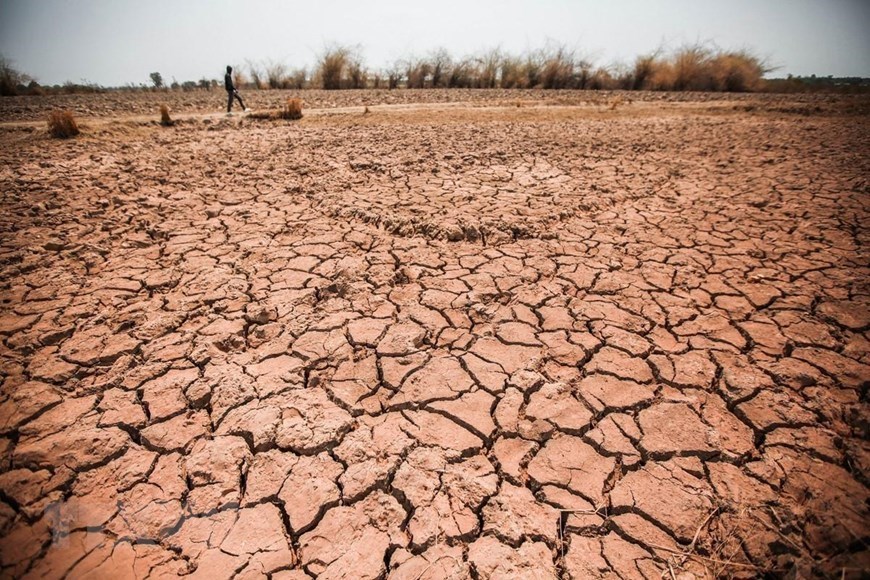 Central Highlands locality struggles with drought