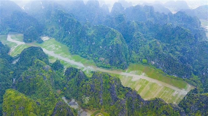 Tam Coc-Bich Dong blanketed with green rice fields