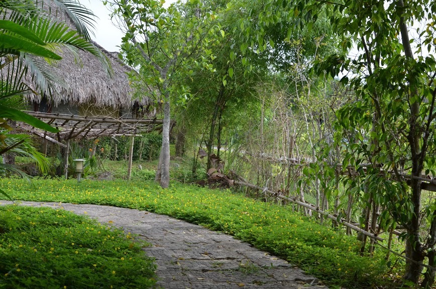 Đi công tác, nam bác sĩ quay cuồng trong mối tình với sếp nữ