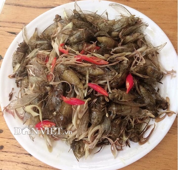 Con đặc sản 'inh tai nhức óc' lại khiến cánh mày râu rớt nước miếng