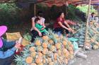Trung Quốc bất ngờ cắt cầu: Bà con Lào Cai buồn não ruộticon