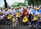 Difficulties hinder disabled people’s travel