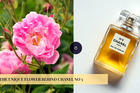 Bí mật bông hoa độc đáo đằng sau lọ Chanel No 5icon