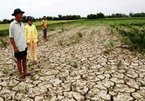 Vietnam's Mekong Delta region adapts to climate change