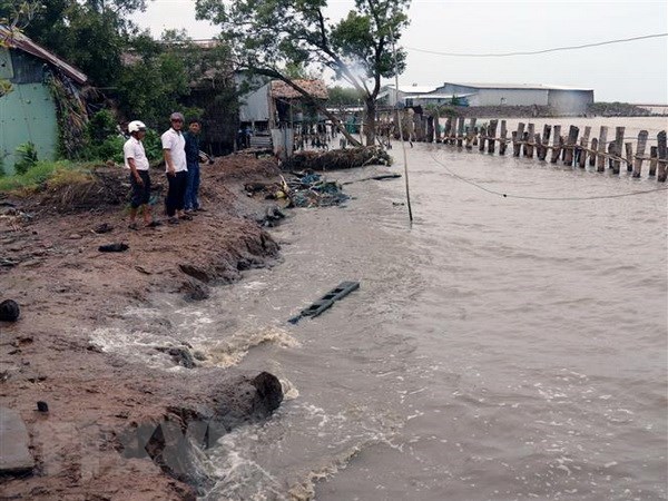 Conference looks to fight coastal erosion in Vietnam's Mekong Delta